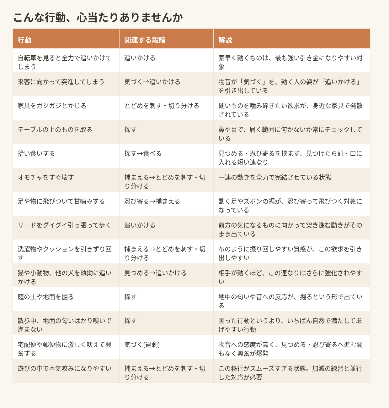 こんな行動、心当たりありませんか(行動とモーターパターンの段階の対応表)