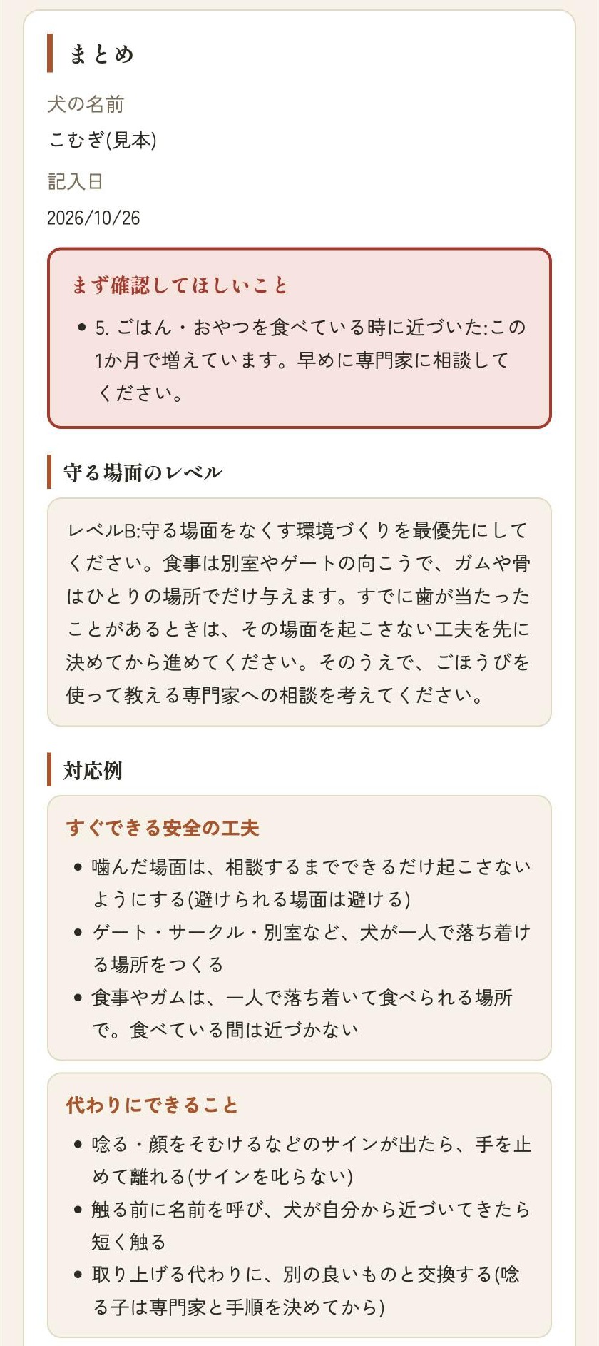 まとめの画面。まず確認してほしいこと・守る場面のレベル・対応例(記入例)