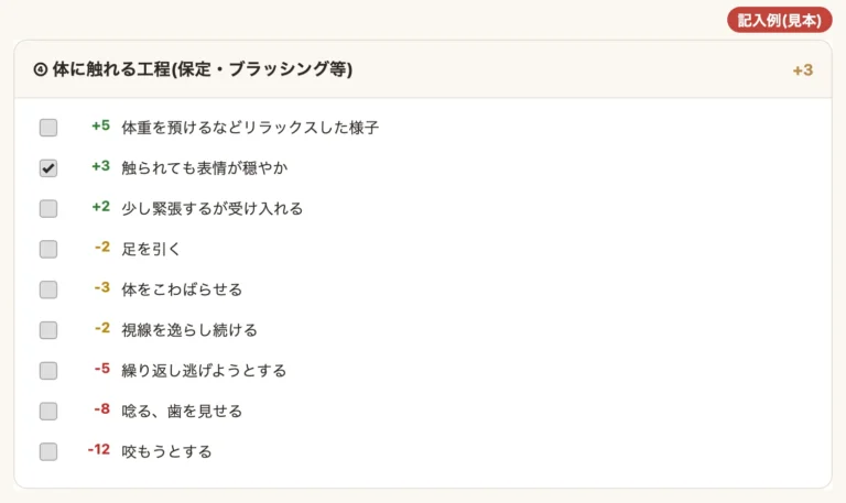 サロン版の場面ごとのチェック画面(記入例・見本)