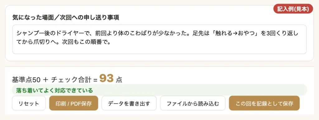 サロン版の申し送り欄と合計点の画面(記入例・見本)
