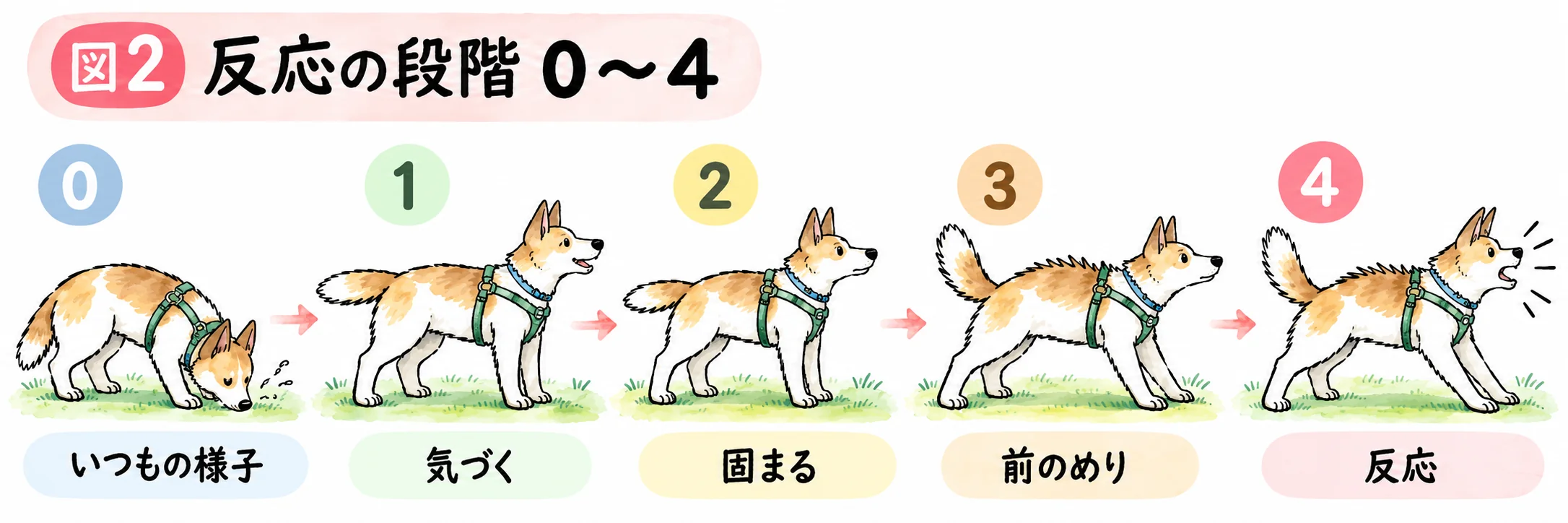 反応の段階0〜4