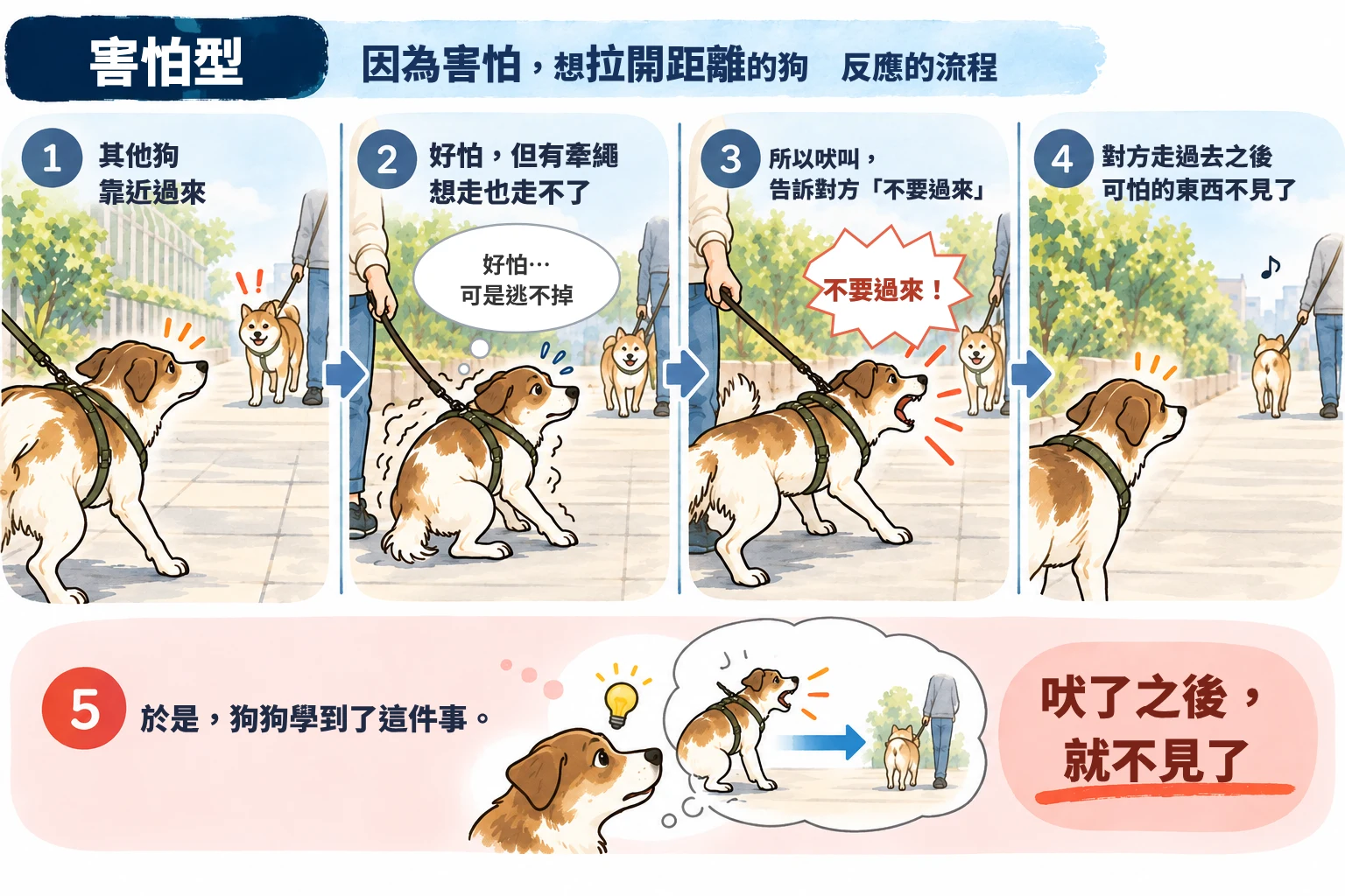害怕型:反應的流程