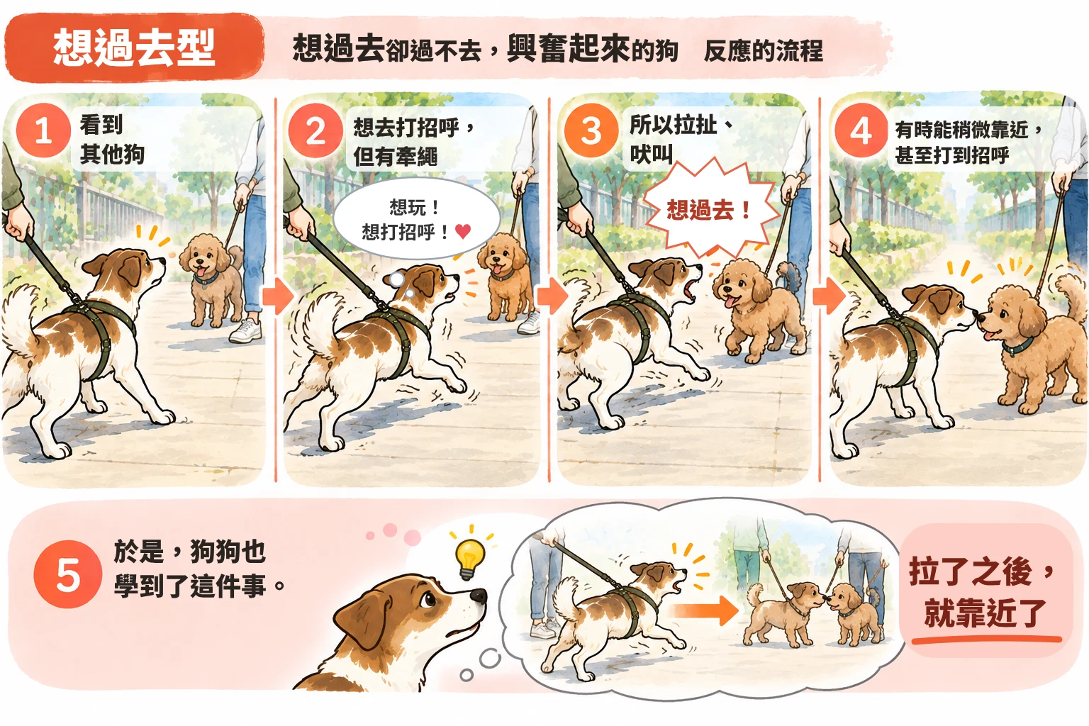 想過去型:反應的流程